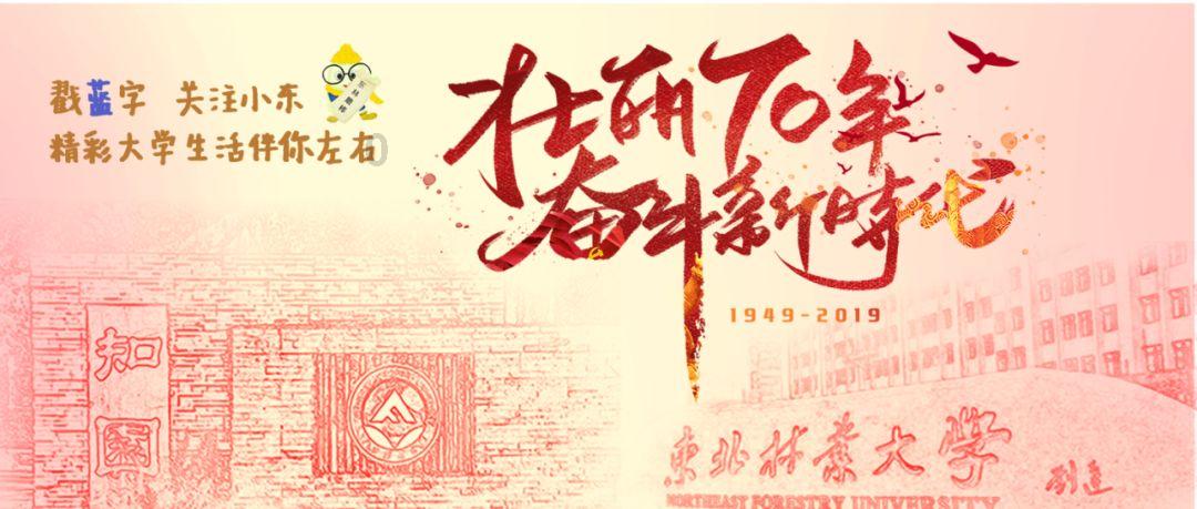 奇特的方块世界